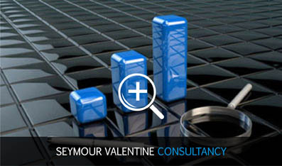 Seymour Valentine Consultancy