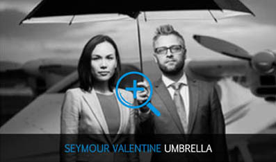 Seymour Valentine Umbrella services in London